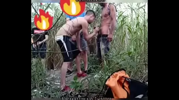 naughty wild fag clip mới Clip