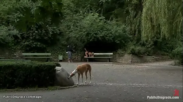 Свежие клипы Европейскую блондинку с большим хуем трахнули в парке Клипы